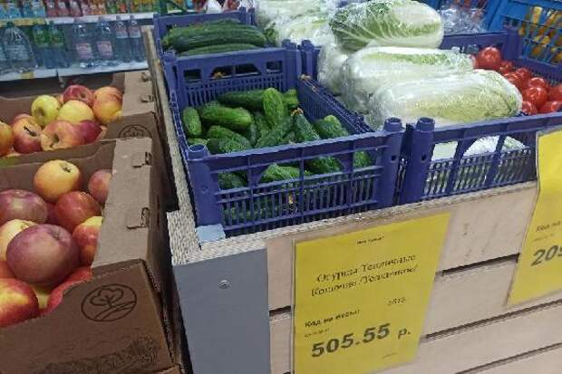 ФАС проверит обоснованность розничных цен на огурцы в крупнейших сетях