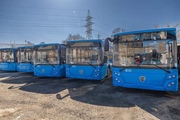 Автобусы во Владивостоке становятся комфортнее