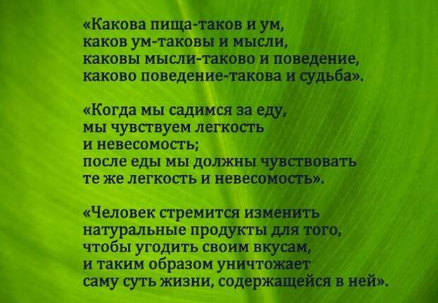 Питаться надо – как дышать