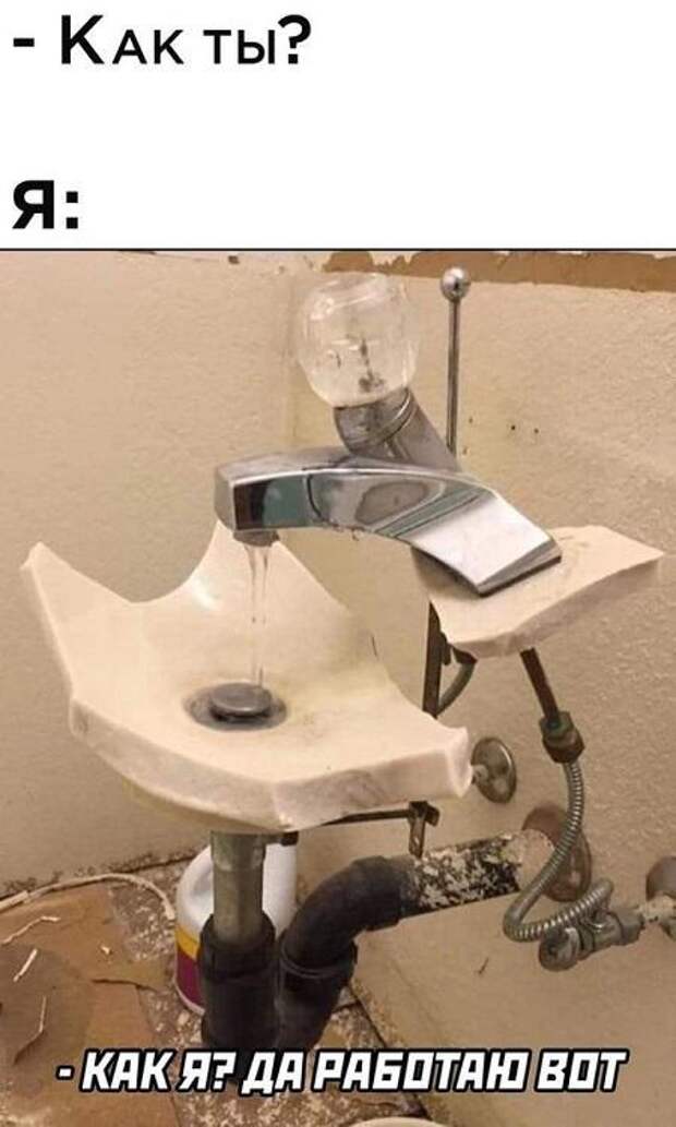 Подборка прикольных до слез картинок и мемов