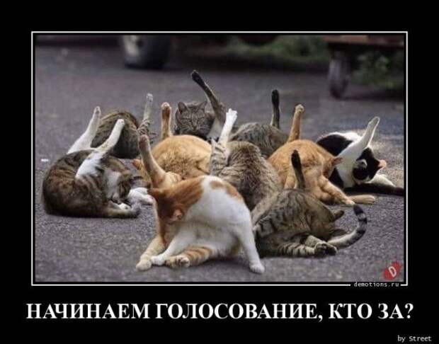 1592379326_demy-23.jpg