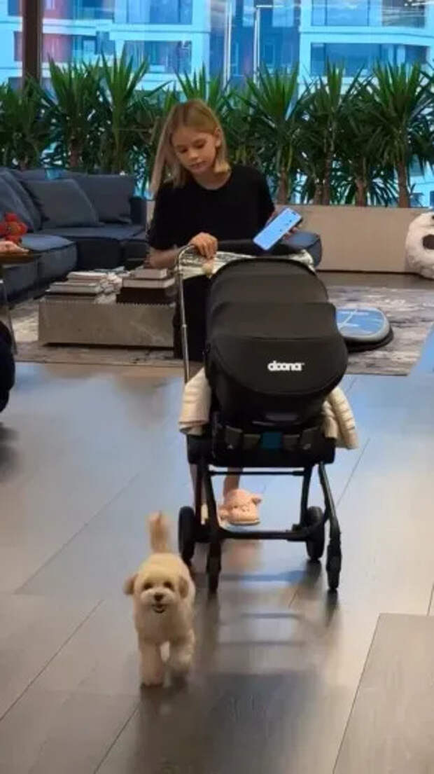 Алиса с Эммой