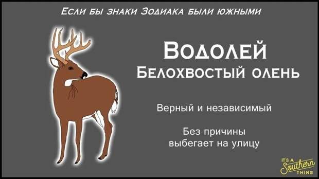 Есть южная версия знаков Зодиака — и она очень точна