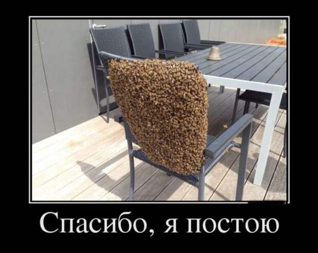 Демотиваторы. Подборка chert-poberi-chert-poberi-47500425032020-17 картинка chert-poberi-47500425032020-17