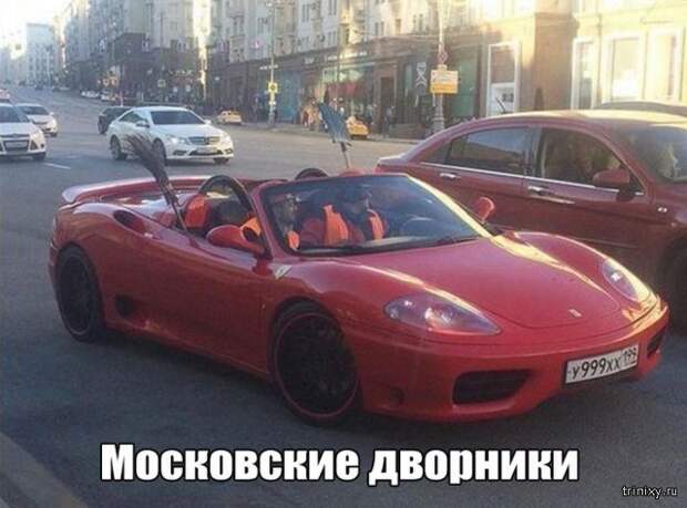 Смешные картинки с надписями
