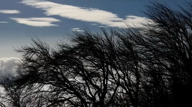 Синоптики предупредили об усилении ветра до 14 м/с в Оренбургской области