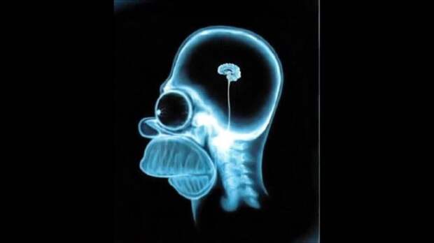Картинки по запросу мозг гомера симпсона