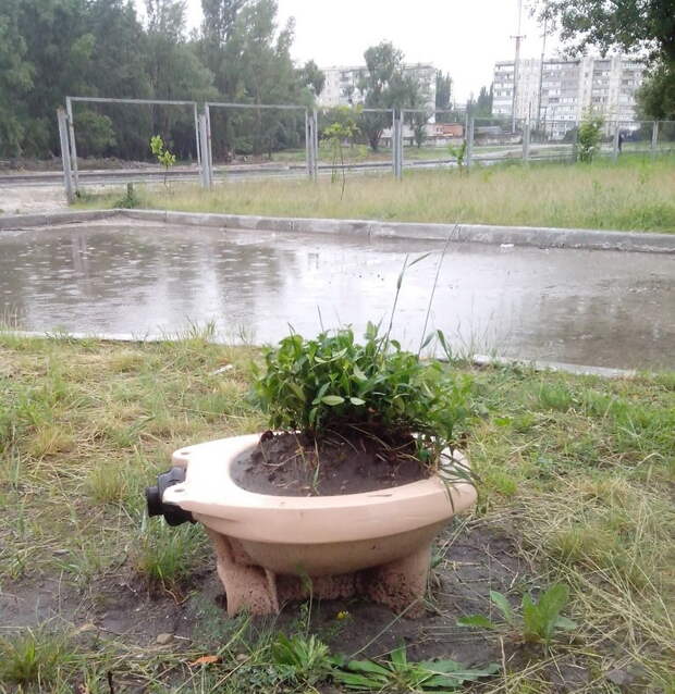 Наша Раша Наша Раша
