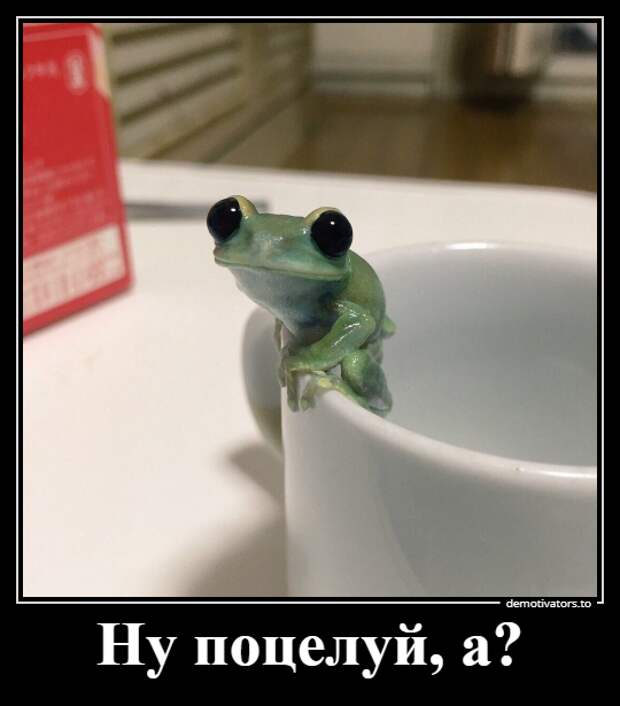 Свежих демотиваторов порция (17 фото)