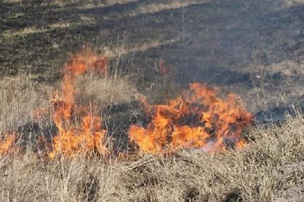 За нарушения правил пожарной безопасности шестерым сельхозпроизводителям отказали в господдержке