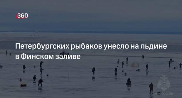 МЧС: 35 рыбаков унесло на льдине в Финском заливе
