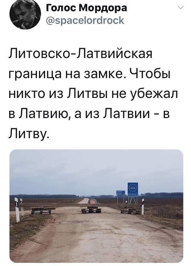 Политические комментарии из инета