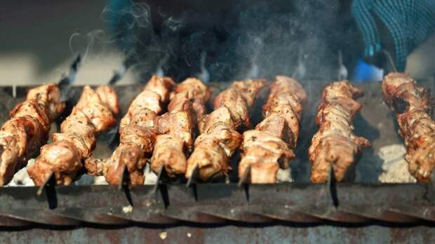 Шашлыки / Фото: amic.ru