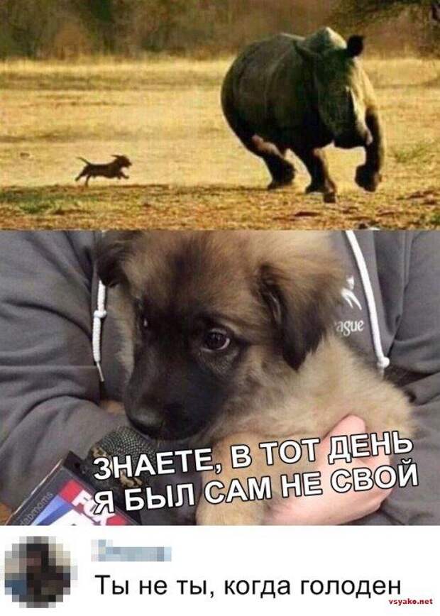 www.vsyako.net