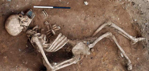 Гигантские скелеты бросают вызов всему, что мы знаем об эволюции человека