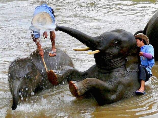 1270137692_funpics-8 (700x525, 120Kb)