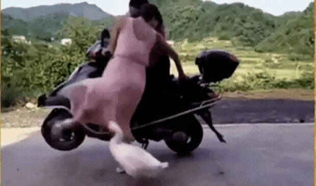 Просто гифки, всякие и разные