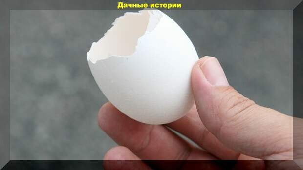 https://vk.com/photo-159774511_456241366