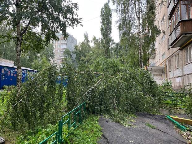 Ураган уронил деревья на 14 автомобилей в Нижегородской области