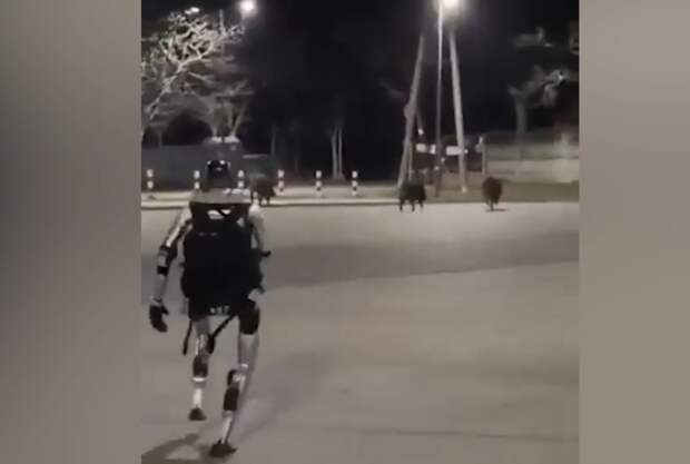 Гуманоидный робот в Варшаве прогнал семейство кабанов и стал интернет‑сенсацией