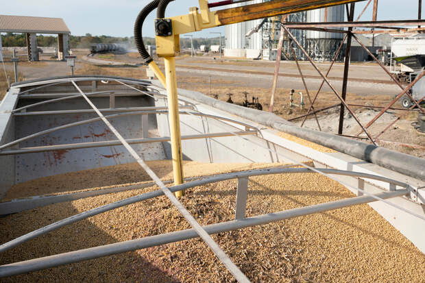 Война в Иране привела к подорожанию еще одного ключевого товара