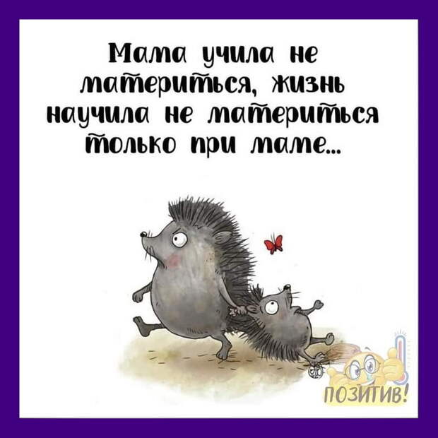 Свежая подборка шуточек
