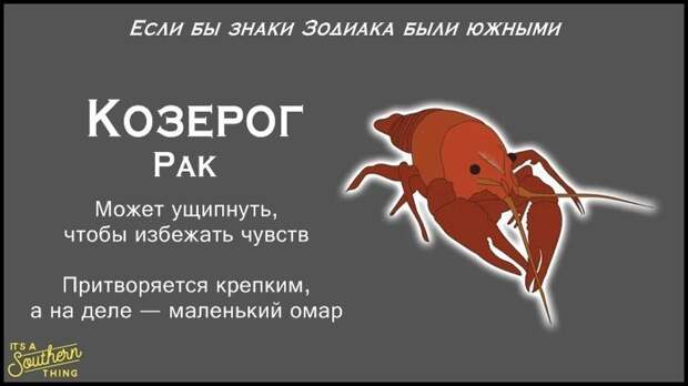 Есть южная версия знаков Зодиака — и она очень точна