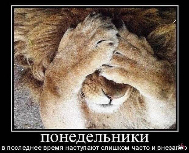 Демотиваторы и мотиваторы. Демки понедельник. Демотиваторы и мотиваторы. Демки понедельник.
