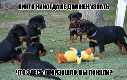 Всяко - разно 12 )))