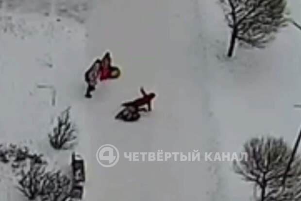 В Екатеринбурге девочка на тюбинге сбила пенсионерку