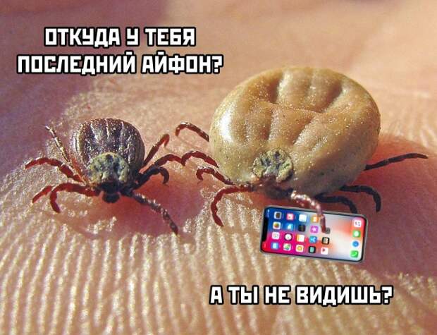 Подборка картинок. Вечерний выпуск (20 фото)