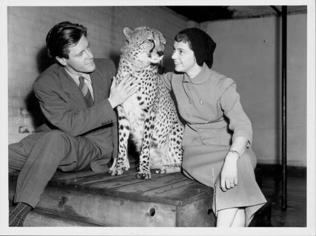 Фото №8 - Джералд Даррелл: экспедиция длиною в жизнь