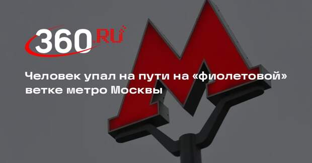 Человек упал на пути на «фиолетовой» ветке метро Москвы