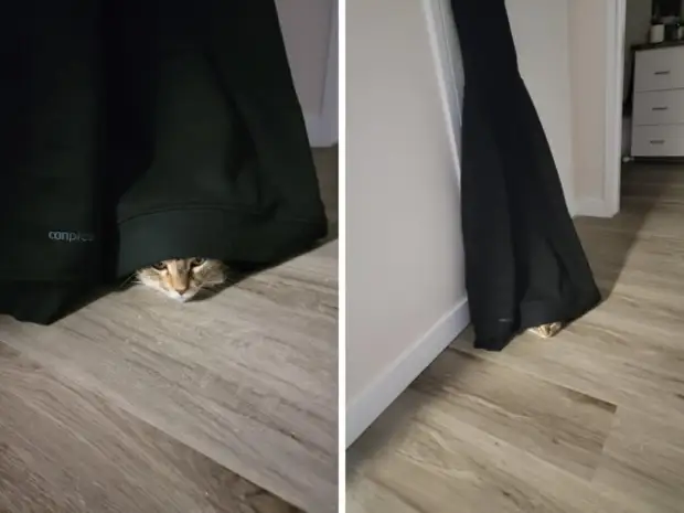 ?
