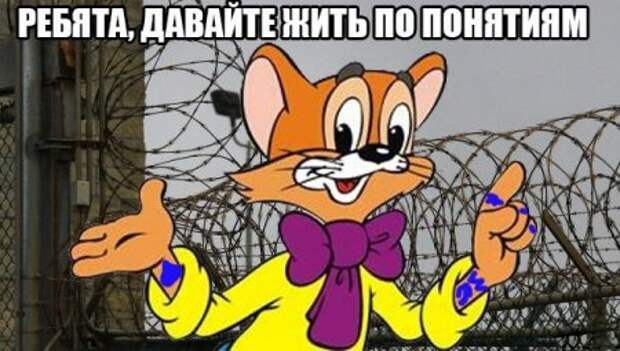 Прикольные картинки, твое хорошее настроение.