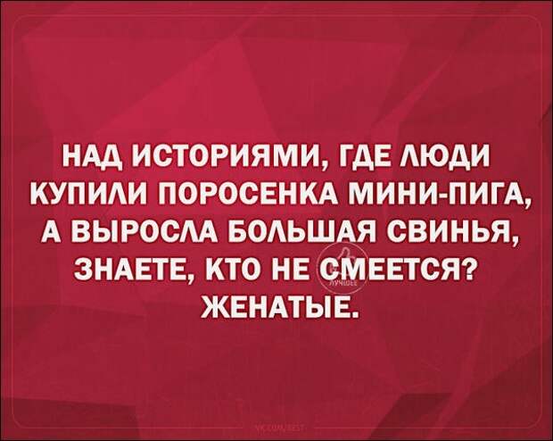 Смешные «Аткрытки»