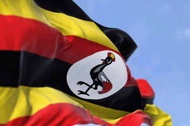 Два новых Русских дома будут открыты в странах Африки