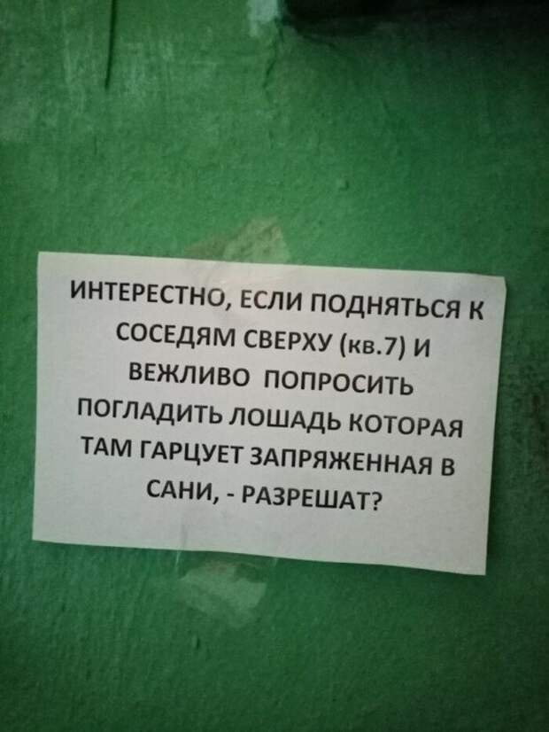 В нашем доме поселился замечательный сосед. Как выживают люди в "человейниках"