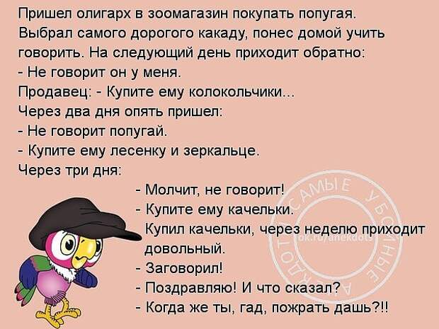 Поляк и француз на пляже. Вокруг француза — стая женщин, на поляка же внимания никто не обращает...