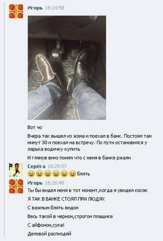 Прикольные картинки Прикольные картинки
