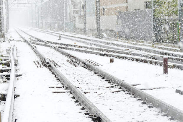 СКЖД: на Кубани по техническим причинам остановлен поезд Ростов - Адлер
