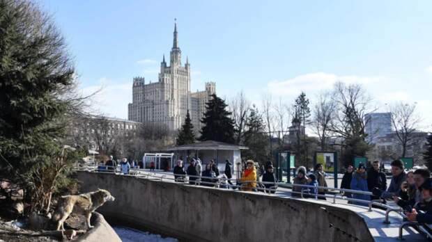 Собянин поделился планами развития Московского зоопарка