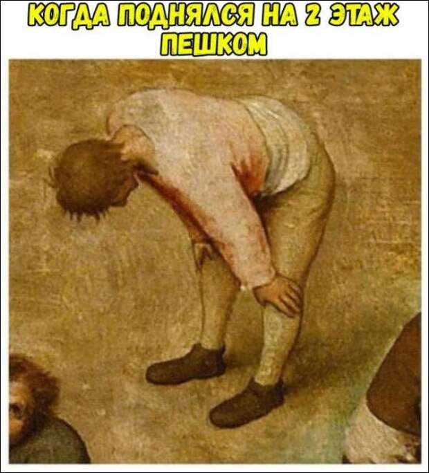Фотоподборка