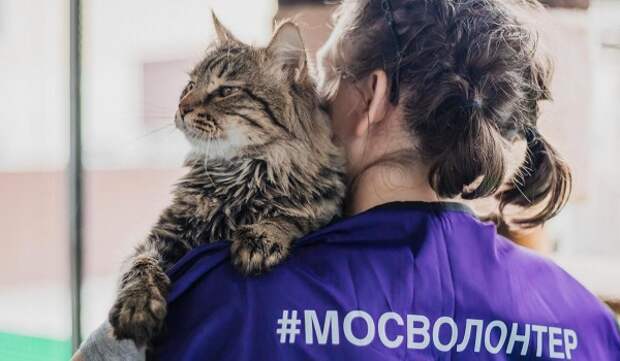 Сбор помощи для животных из приютов Белгородской области открылся в столице