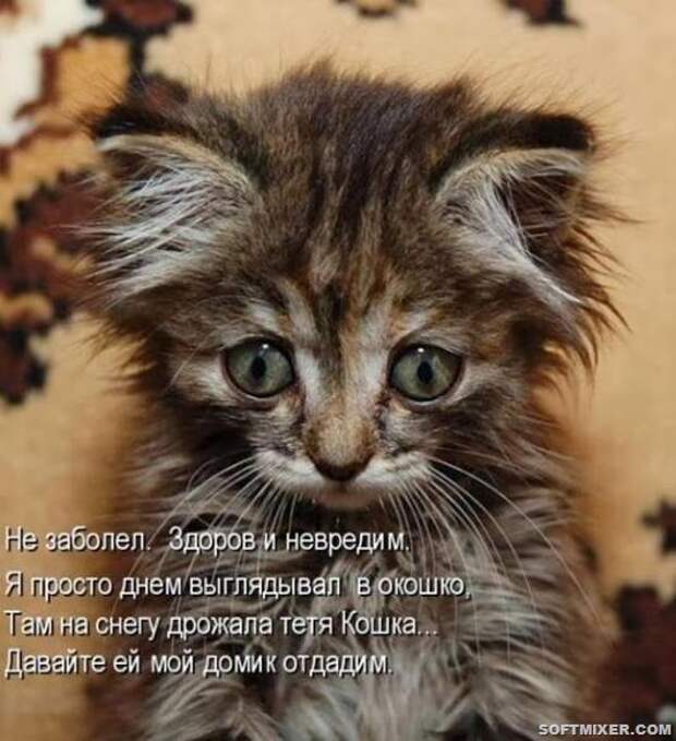 e69971211e11fecefbabf0d53f2_prev