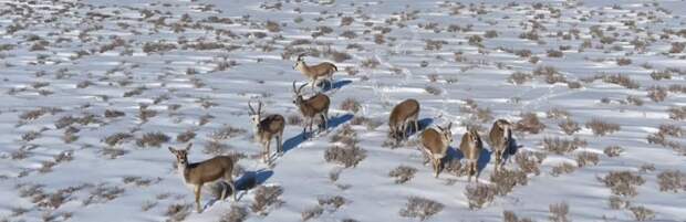 Рейды провели в региональном природном парке «Кызылсай»