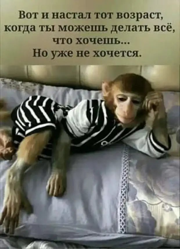 К психотерапевту идти уже поздно, к психиатру - страшно... Причём за него-то и страшно... К психотерапевту идти уже поздно, к психиатру - страшно... Причём за него-то и страшно... чтобы, четверть, спрашивает, Когда, классе, говорить, скажет, застукал, допроса, плохо, заплела, завтрак, приготовила, обручальное, постель, заправила, разбудила, детей, умыла, одела