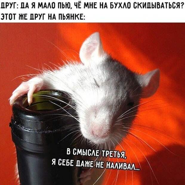 Мемы и приколы про алкоголь после прошедших выходных