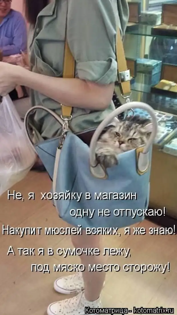 Лучшие котоматрицы