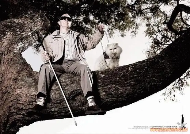 Улыбнись! :) (21повод)